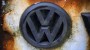 Versuche mit Affen: VW-Abgase doch schädlich