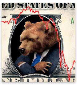 Der USA Bären-Thread 219598