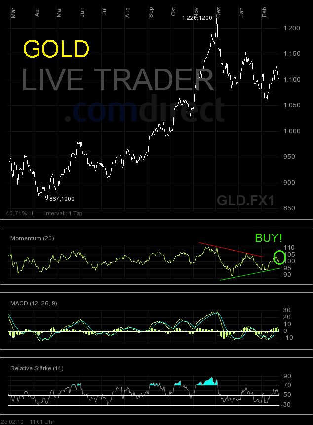 EDELMETALLE - Trading und Charts 2010 302206