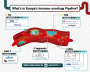 Infographic: What's in Europe's Immuno-oncology Pipeline?