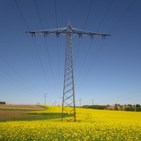 Stromleitung über einem Rapsfeld (Symbolbild).
