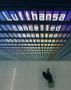 Streiks, Flugausfälle und ein angeblicher Tarifkonflikt: Lufthansa leidet unter Blindflug der Piloten - NZZ Wirtschaft: Unternehmen